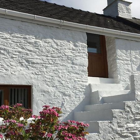 Little Barn Cottage 뉴포트 외부 사진