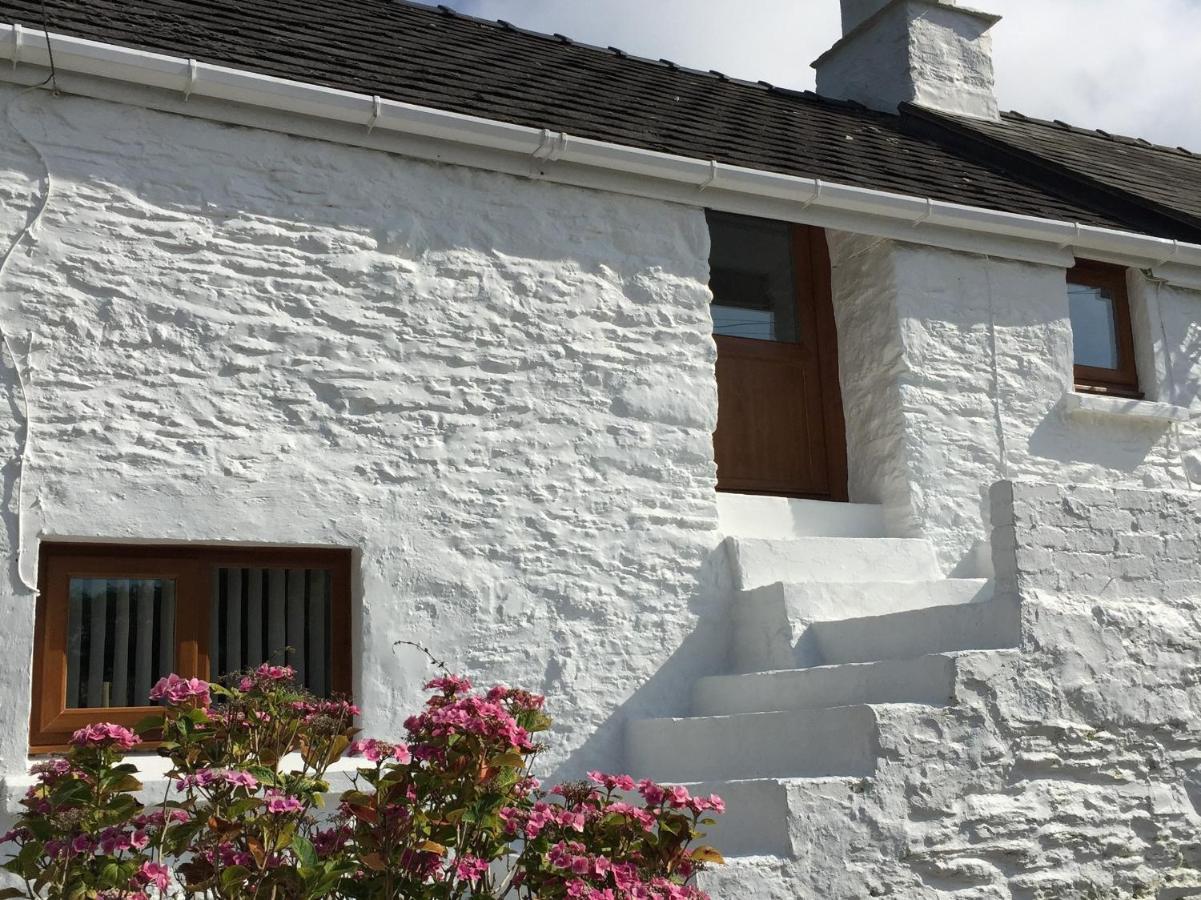 Little Barn Cottage 뉴포트 외부 사진